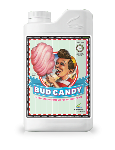 BUD CANDY 5 LITRE
