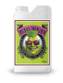 BIG BUD LIQUID 1L