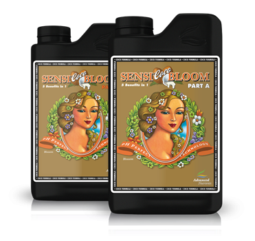 SENSI COCO BLOOM A&B 1L