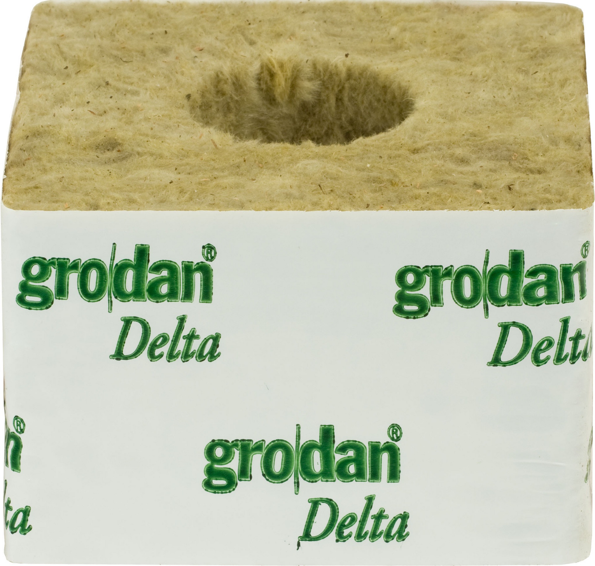 GRODAN STRIP of 6 x 4" CUBES (LARGE HOLE 36MM)