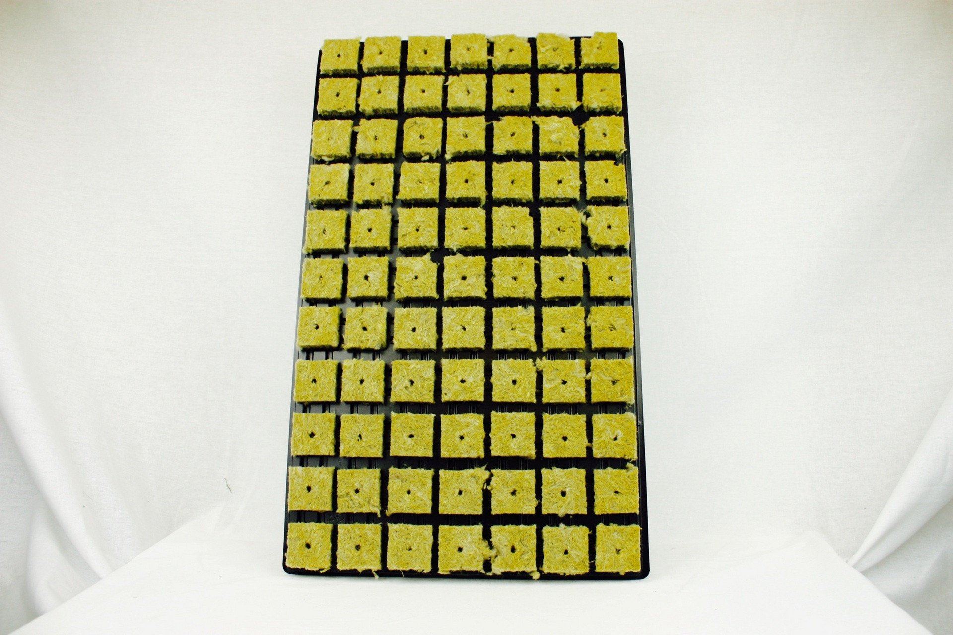 GRODAN SBS 36 TRAY OF 77