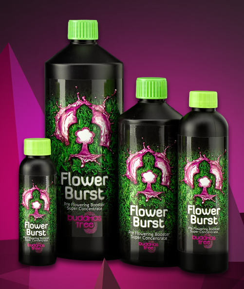 FLOWER BURST 1 L