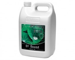 CYCO B1 BOOST 1 LITRE