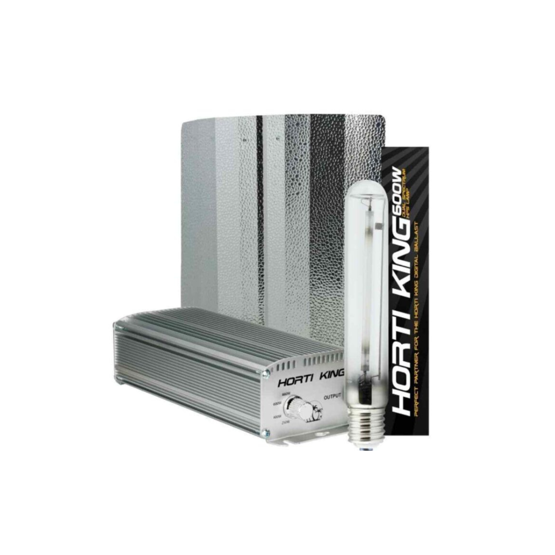 HORTIKING 600W DIMMABLE BALLAST KIT WITH SUNMASTER LAMP