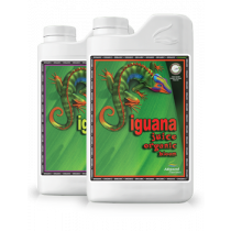 IGUANA JUICE BLOOM 10L