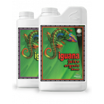 IGUANA JUICE BLOOM 4 LITRE