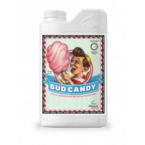BUD CANDY 5 LITRE