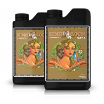 SENSI COCO BLOOM A&B 1L