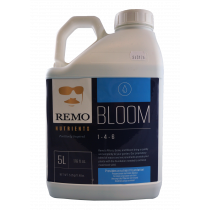 REMO BLOOM 5 LITRE