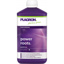 PLAGRON POWER ROOTS 1 LITRE