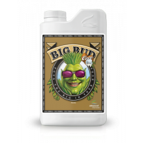 BIG BUD LIQUID COCO 1L