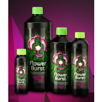 FLOWER BURST 1 L