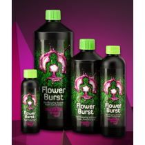 FLOWER BURST 250 ml