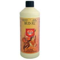 BUD XL 500ML