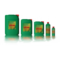 DUTCHPRO EXPLODE 5 LITRE
