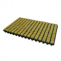 GRODAN SBS 25 TRAY OF 150