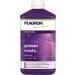 PLAGRON POWER ROOTS 500ml