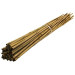 BAMBOO STAKES 120CM